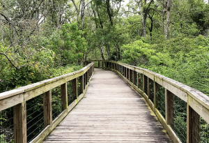 Tree Hill Nature Center