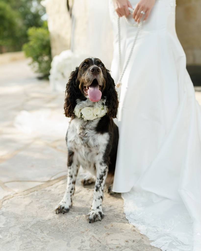 We’re big fans of bouquetsofaustintx! They have an eye for detail and create floral magic (peep the puppy’s floral collar)